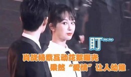 圈内爆料肖战杨紫是谁,揭秘娱乐圈的神秘恋情