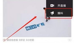 有视频怎么爆料别人呢,揭秘他人隐私，法律与道德的双重拷问