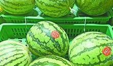 武汉爆料最新吃瓜,吃瓜群众揭秘幕后真相