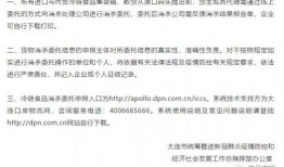 视频新闻爆料投稿平台,见证真相的力量