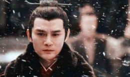 司马家族爆料视频播放大全,揭秘家族秘闻与真实故事