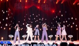 综艺节目修音爆料视频,修音爆料视频背后的真相与争议