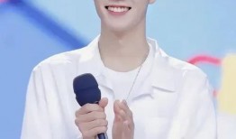 肖战明星八卦爆料视频大全,揭秘视频大全背后的精彩瞬间