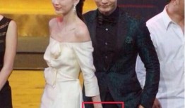 陈好黄晓明天涯爆料视频,揭秘娱乐圈幕后真相