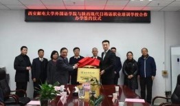 西安教育爆料最新消息