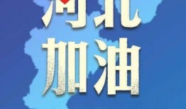 河北省爆料新闻,揭秘当地热点事件背后的真相