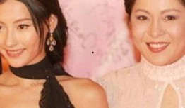 向太向华强娱乐大爆料,向太向华强夫妇大爆料，内幕惊人！