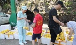 娱乐吃瓜酱贫困户,揭秘贫困户背后的真实故事