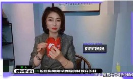 孟刚爆料录音高岚视频,事件背后有何隐情？