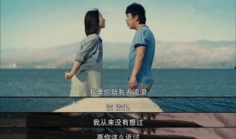 假装情侣在线观看,揭秘假装情侣在线观看的浪漫之旅