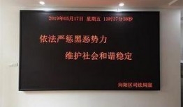 佳木斯扫黑除恶最新爆料,最新爆料揭露黑恶势力覆灭记