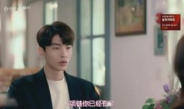 假装情侣在线观看,揭秘假装情侣在线观看的浪漫之旅