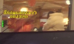 九南被爆料家暴视频大全,揭开娱乐圈黑暗面