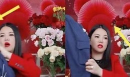 三亚主持人爆料事件视频,揭秘幕后的惊人真相