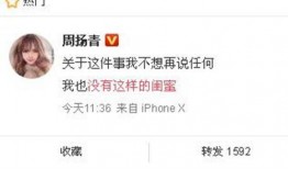 最近的爆料事件新闻内容,真相与争议交织