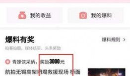 今日头条小张爆料视频,揭秘幕后真相，带你走进事件核心
