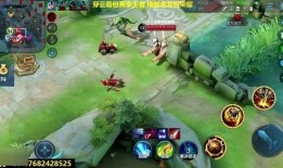 猴王王者爆料视频大全,揭秘视频大全背后的精彩瞬间