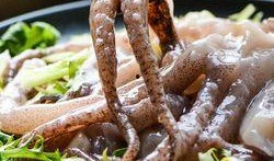 鱿鱼最新爆料视频大全,揭秘幕后真相，精彩瞬间大盘点