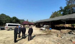 南安梅山镇爆料事件最新,真相追踪与社区反响