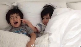 林志颖儿子爆料视频播放,独家爆料视频幕后故事