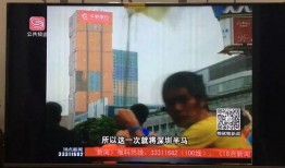 深圳公共频道在线观看,深圳公共频道精彩内容一览