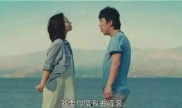 假装情侣在线观看,揭秘假装情侣在线观看的浪漫之旅