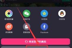 爆料转发的视频怎么删除,揭秘如何清除网络上的视频爆料转发