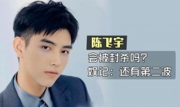 陈飞宇圈内爆料,揭秘娱乐圈不为人知的幕后故事