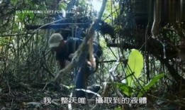 空蝉的森林在线观看,沉浸式在线观影之旅