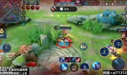 猴王王者爆料视频大全,揭秘视频大全背后的精彩瞬间