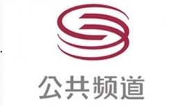 深圳公共频道在线观看,深圳公共频道精彩内容一览