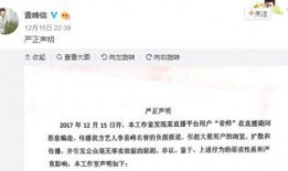 爆料娱乐圈势力,暗流涌动的权力游戏