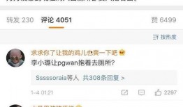 圈内爆料李小璐视频,圈内爆料引发热议