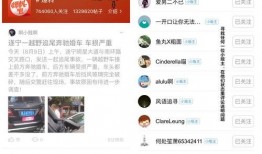 如何查看最新爆料,一探究竟，追踪热点动态