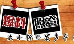 新闻免费爆料平台,见证真相的力量