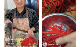 陕西老乔爆料视频全集,揭秘背后真相与内幕