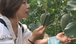 吃瓜网红事件新疆,揭秘网络舆论背后的真相