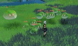 须弥草神最新爆料视频下载