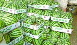 武汉爆料最新吃瓜,吃瓜群众揭秘幕后真相