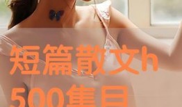 义妓 在线观看,揭秘古代风尘女子的传奇人生