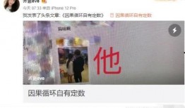 迷你公司爆料视频大全集,揭秘幕后故事与精彩瞬间