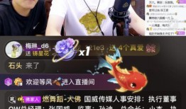 参哥合伙人爆料视频,独家视频内容深度解析