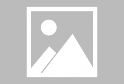 免费吃瓜女博士视频网站,视频网站背后的学术魅力与娱乐风暴