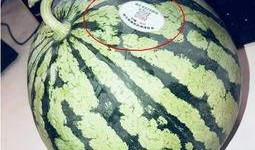 国产网红在线吃瓜,揭秘娱乐圈幕后风云