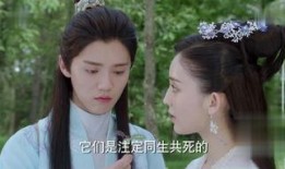 择天记 在线观看,穿越奇幻世界，探寻命运之谜