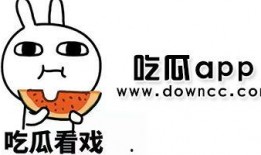 国产网红在线吃瓜,揭秘娱乐圈幕后风云