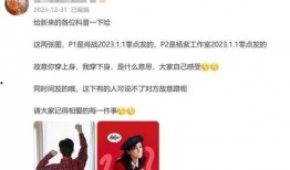 肖战杨紫圈内爆料,揭秘娱乐圈的甜蜜与争议