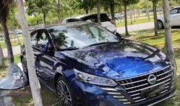 天籁最新款爆料视频,科技与艺术的完美融合