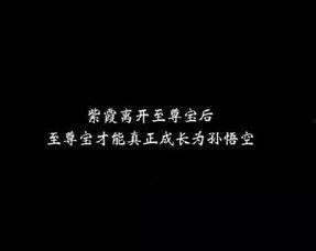 娱乐吃瓜酱伤感语录